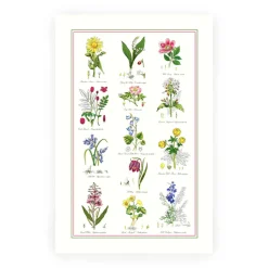 Botanical Garden Cotton Tea Towel