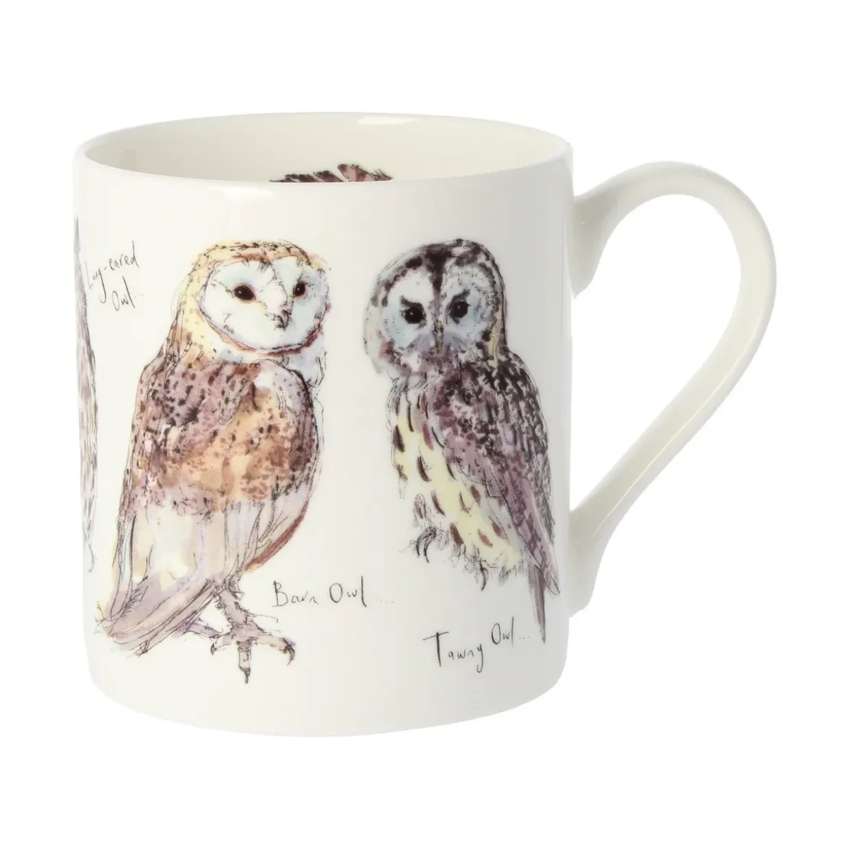 5 Owls Bone China Mug