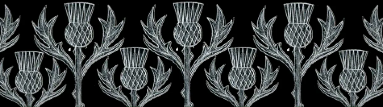 Thistle Mug By Moorland Pottery