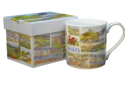 Wales Bone China Mug (Boxed)